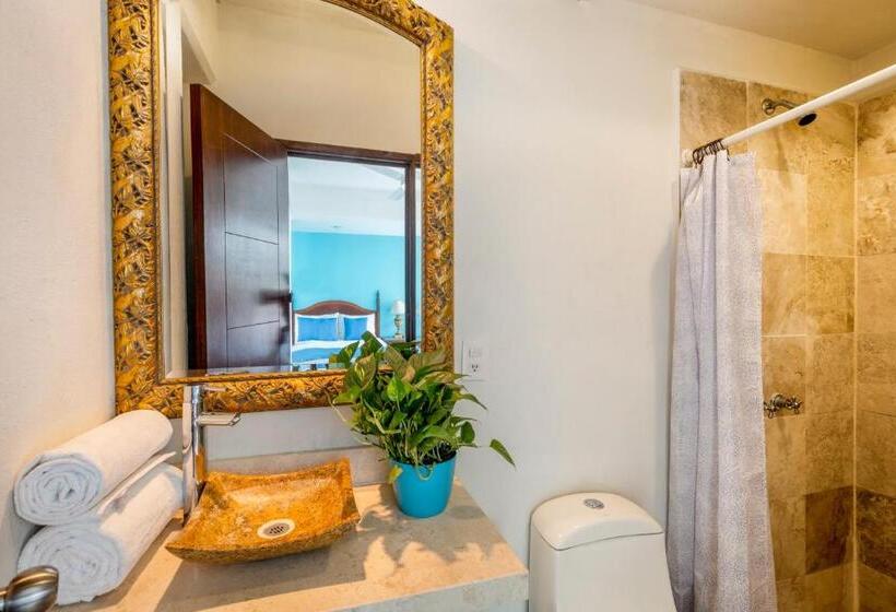 غرفة قياسية, Pueblito Vallarta