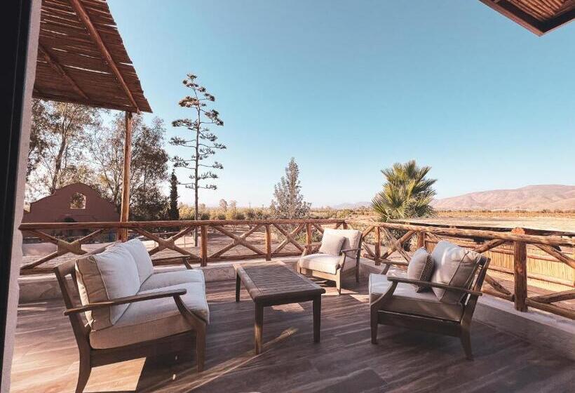 キングサイズベッドのデラックススイート, Penthouse At Hotel Boutique Valle De Guadalupe