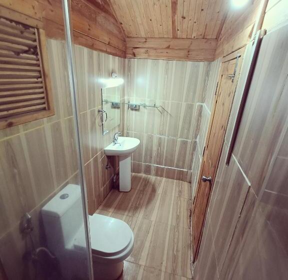 Номер Deluxe с Балконом, Greenland Cottage S