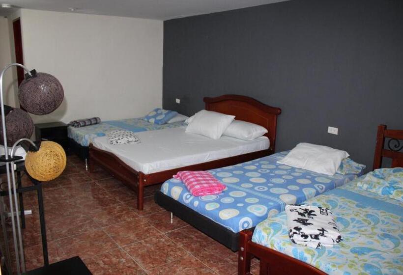 اتاق خانوادگی, Ian Armenia