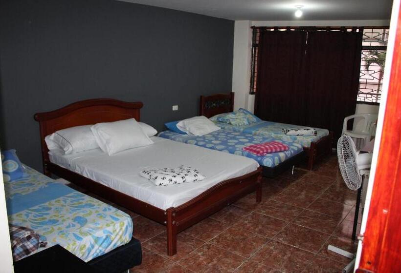 اتاق خانوادگی, Ian Armenia