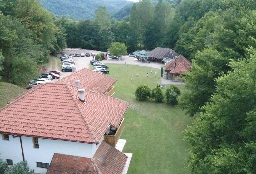 استودیو استاندارد با تخت کینگ, Bosa Noga Rzav