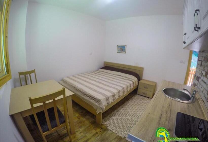 استودیو استاندارد با تخت کینگ, Bosa Noga Rzav