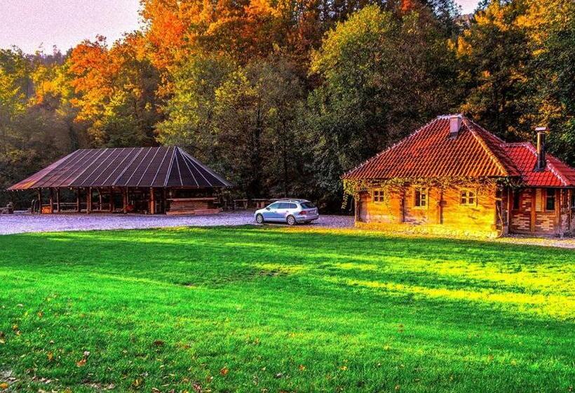 استودیو استاندارد با تخت کینگ, Bosa Noga Rzav