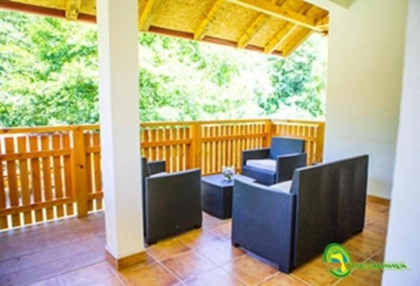 استودیو استاندارد با تراس, Bosa Noga Rzav