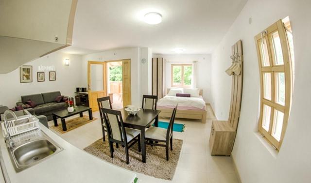 استودیو استاندارد با تراس, Bosa Noga Rzav