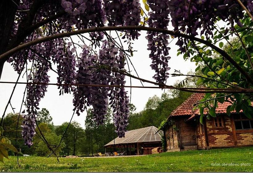 استودیو استاندارد با تراس, Bosa Noga Rzav