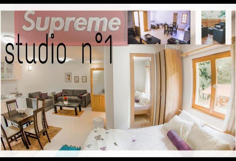 استودیو استاندارد با تراس, Bosa Noga Rzav