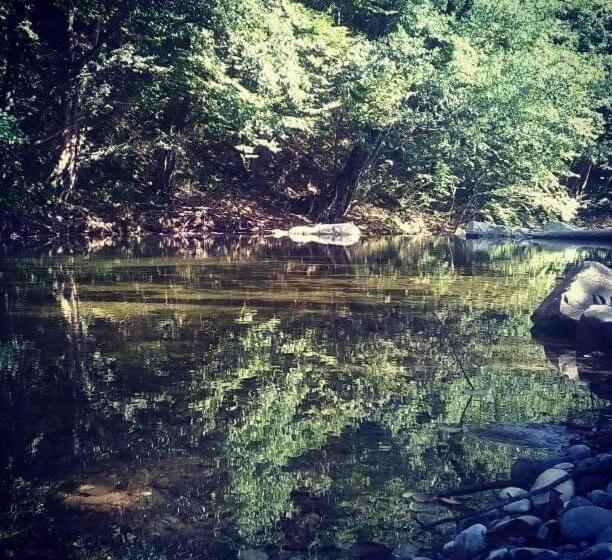 استودیو استاندارد با چشم‌انداز باغ, Bosa Noga Rzav