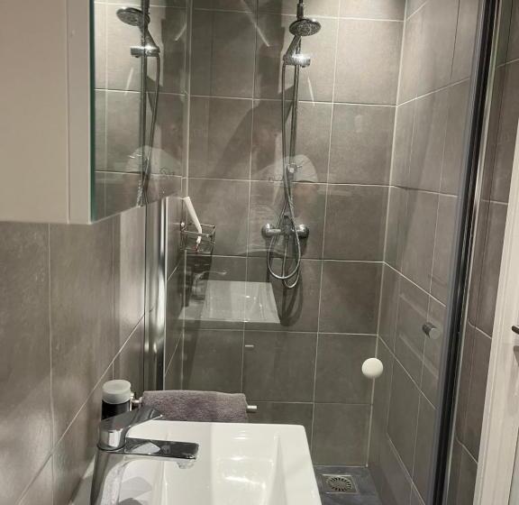 低层单卧公寓, De Stern