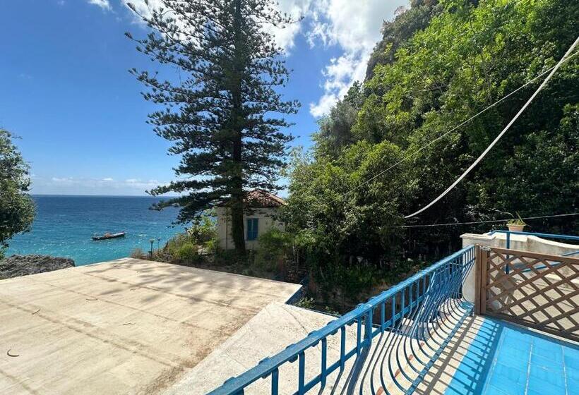 エコノミールーム, Rada Azzurra