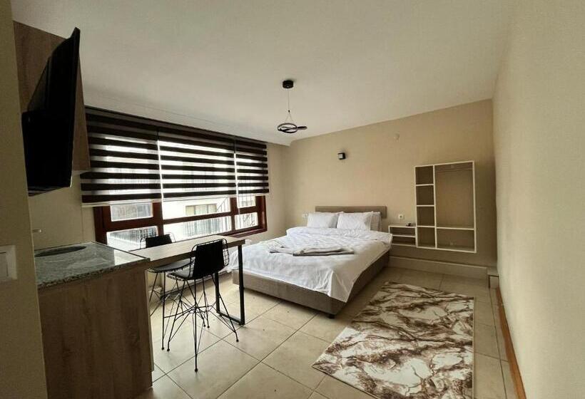 غرفة قياسية, Brown