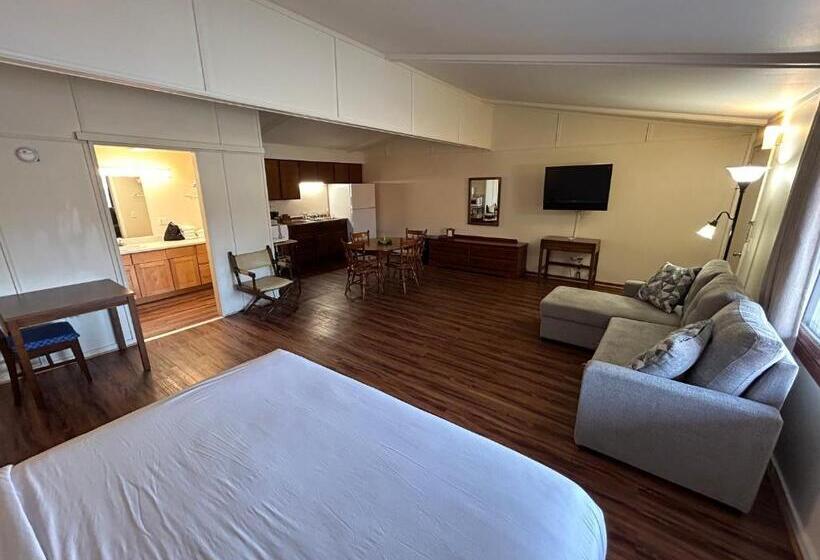 جناح ديلوكس سرير كينج, Valley Inn And Suites