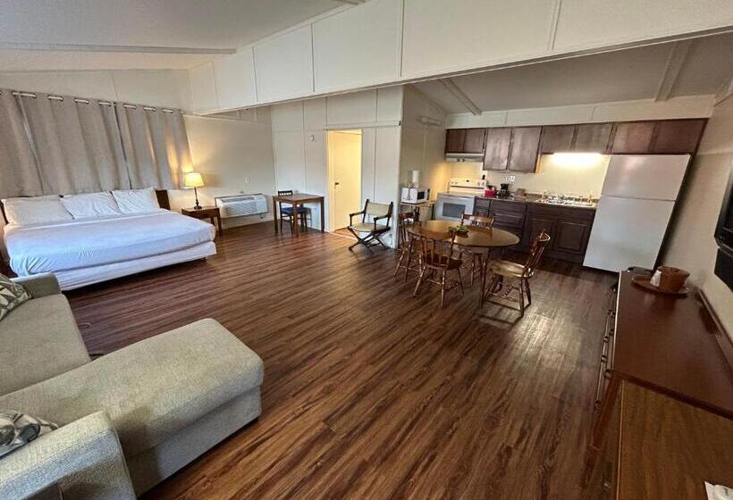 جناح ديلوكس سرير كينج, Valley Inn And Suites