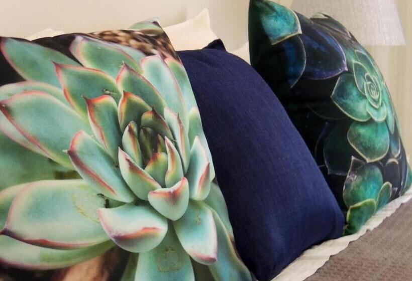 标准间, Gentle Breeze Retreat