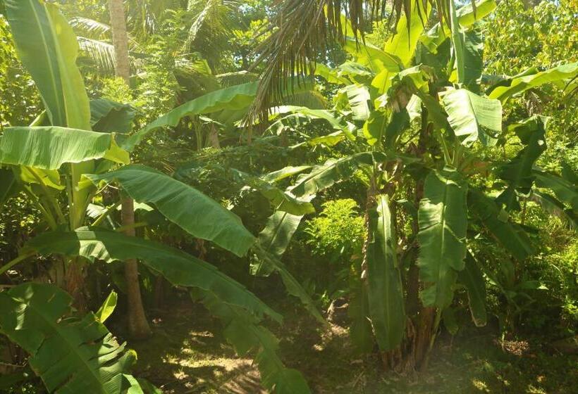 スタンダードルーム, The Drop In Madiha I Double Bedroom With Private Bathroom