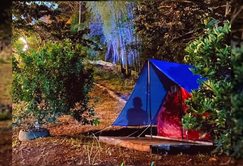 Standard Tent, Hostel Paraiso De Colores