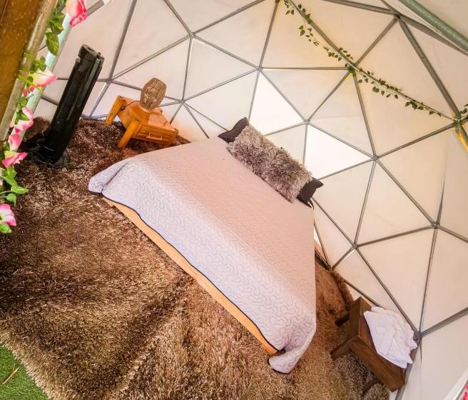 샬레, Hostel Paraiso De Colores