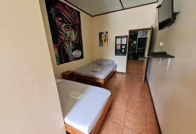 Номер Стандарт Трехместный, Slow Monkey Hostel