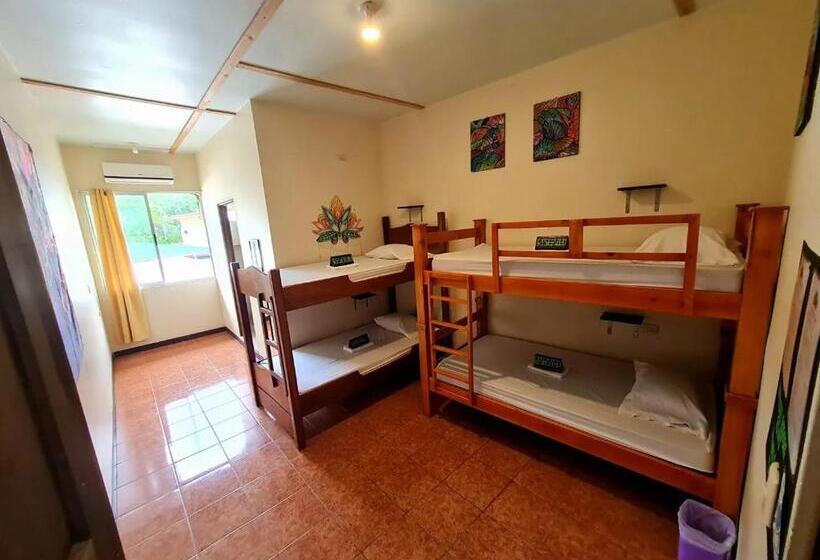 מיטה בחדר משותף, Slow Monkey Hostel