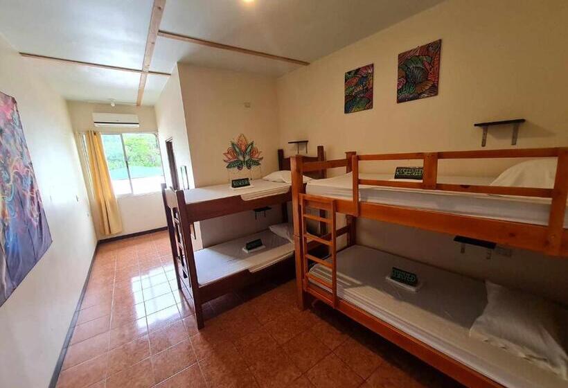 מיטה בחדר משותף, Slow Monkey Hostel