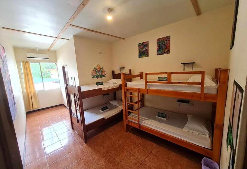 מיטה בחדר משותף, Slow Monkey Hostel