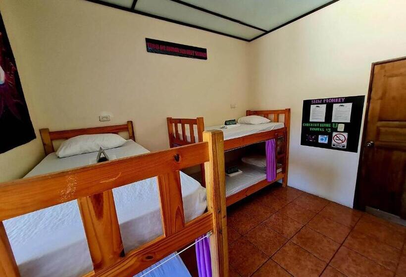 מיטה בחדר משותף, Slow Monkey Hostel