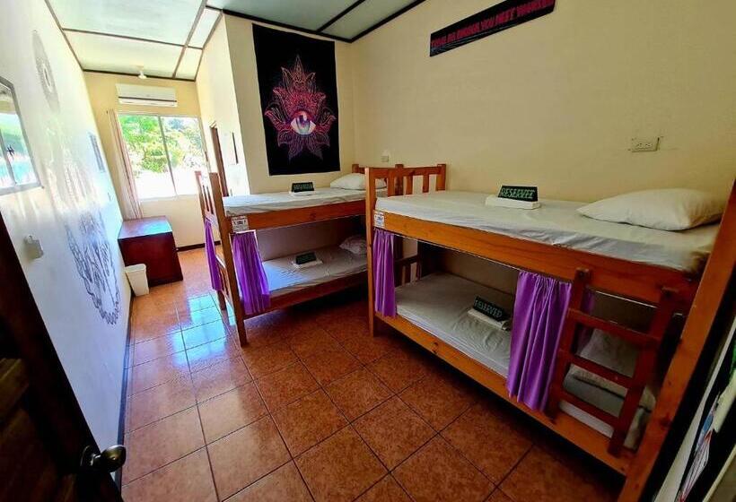 מיטה בחדר משותף, Slow Monkey Hostel