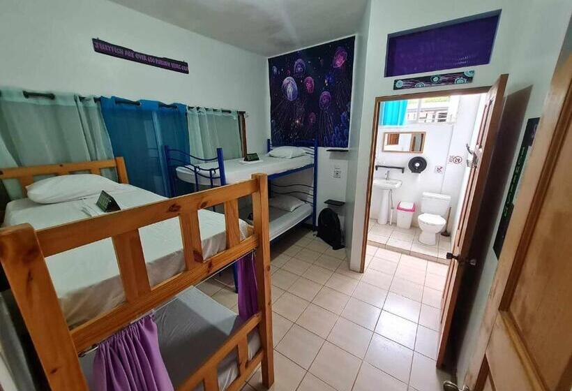 מיטה בחדר משותף, Slow Monkey Hostel