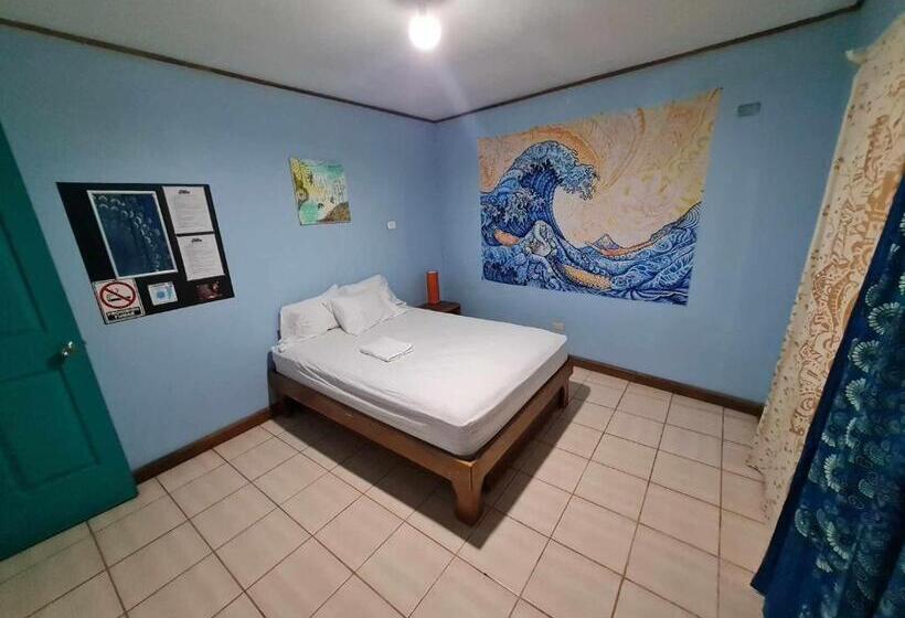 חדר אקונומי, Slow Monkey Hostel