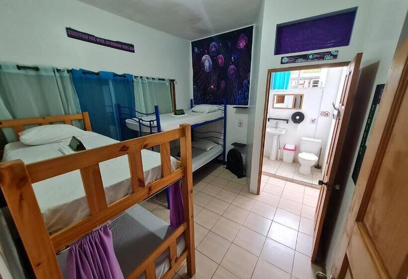 מיטה בחדר משותף, Slow Monkey Hostel