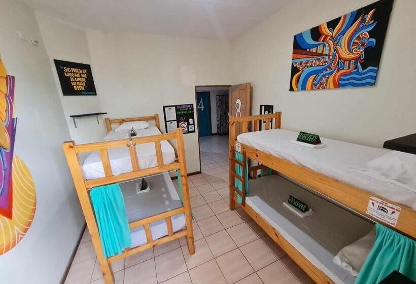 Кровать в Общей Комнате, Slow Monkey Hostel