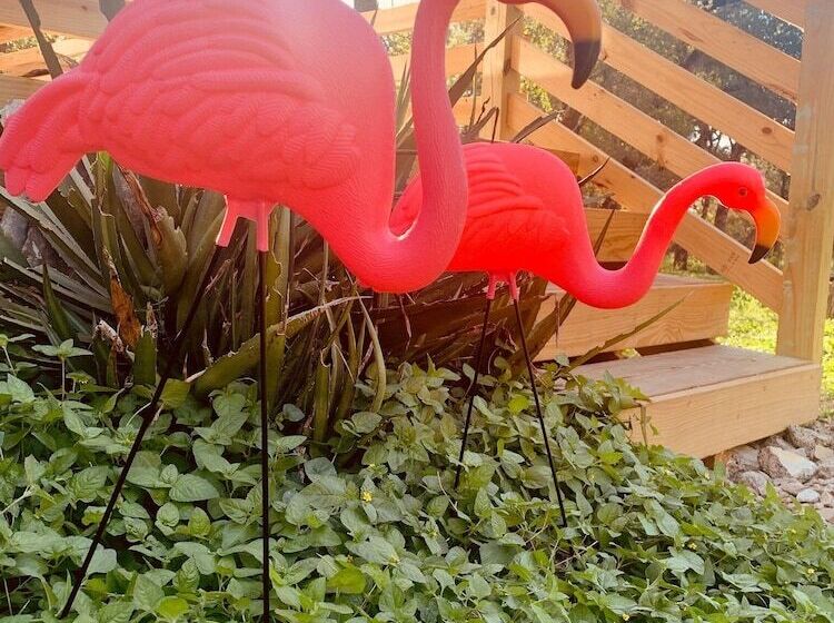 스탠다드 방갈로, Mosaic On The Hill