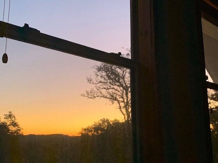 스위트, Mosaic On The Hill