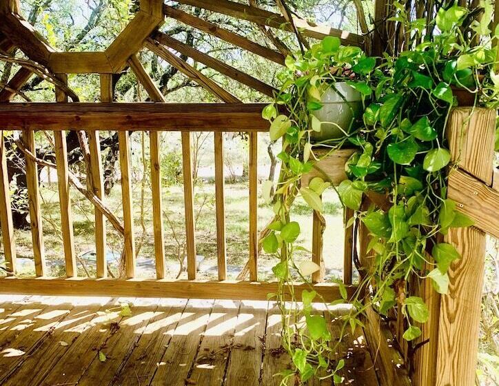 스위트, Mosaic On The Hill