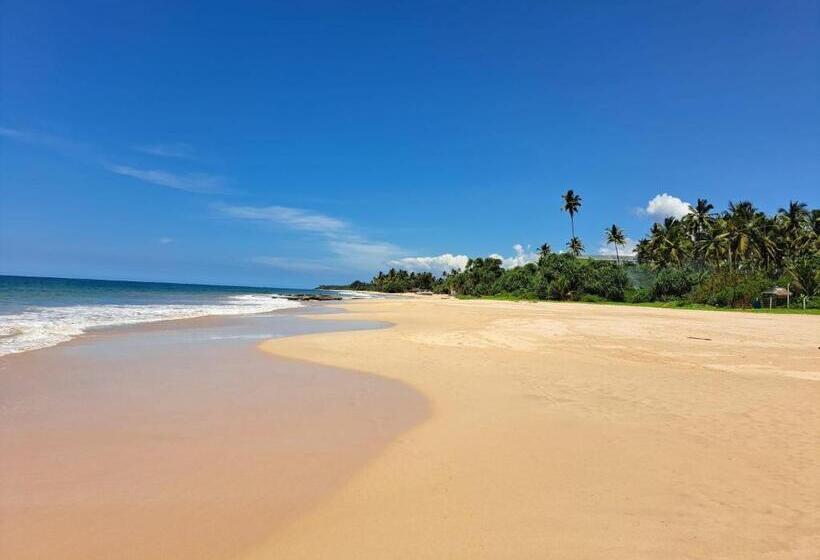 豪华房间, Sri Palms