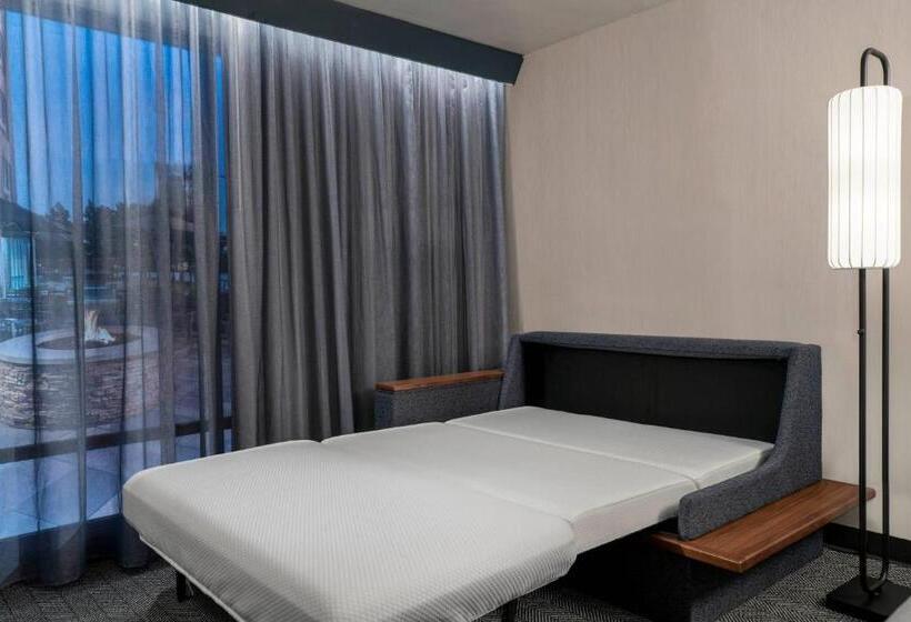 Büyük Çift Kişilik Yataklı Standart Oda, Courtyard By Marriott Orem University Place