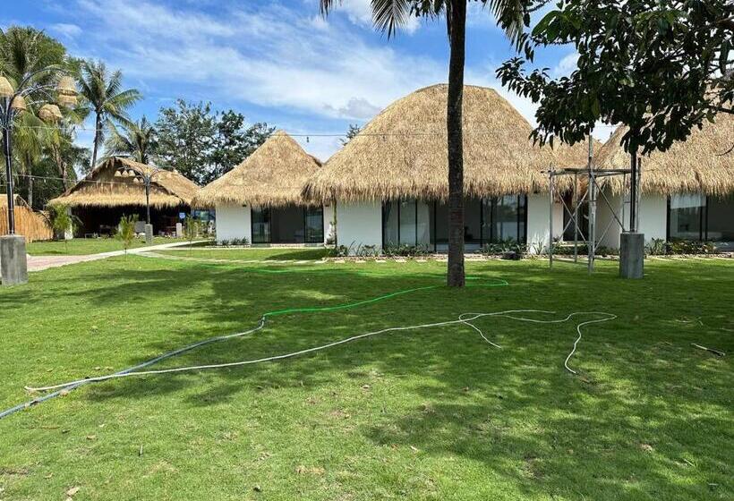 디럭스 룸 바다 전망, Sea Sand Resort