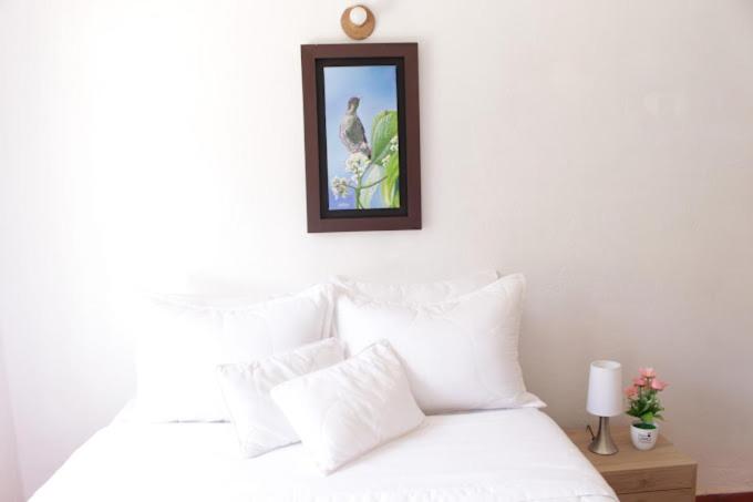 اتاق استاندارد با چشمانداز کوهستان, Hostal Tierra Ancestral
