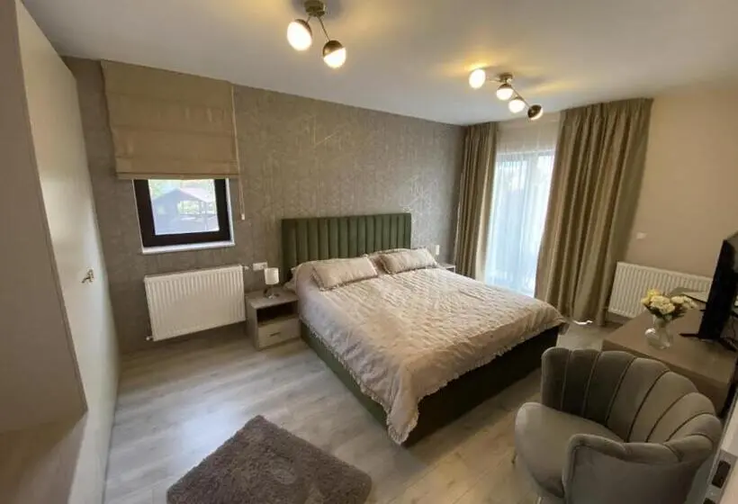 Standard-huone King-vuode, Pensiunea Piri Land
