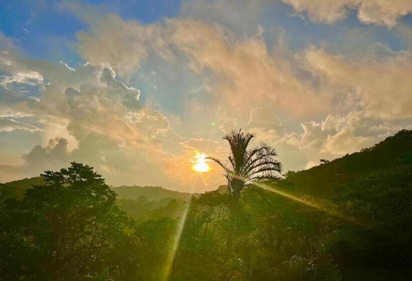 اتاق استاندارد, This Is Okinawa