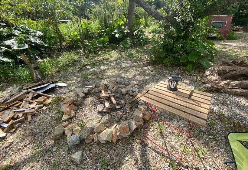 اتاق استاندارد, This Is Okinawa