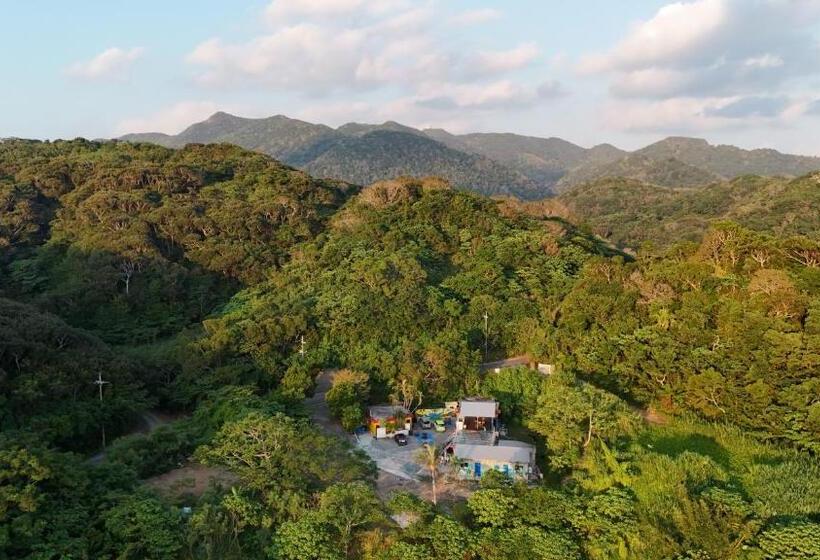 تختخواب در اتاق مشترک, This Is Okinawa