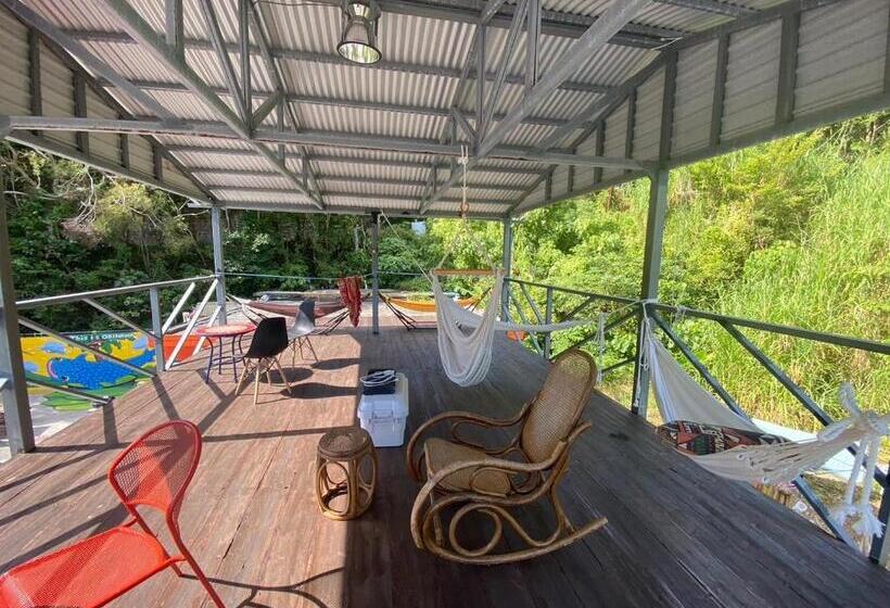 تختخواب در اتاق مشترک, This Is Okinawa