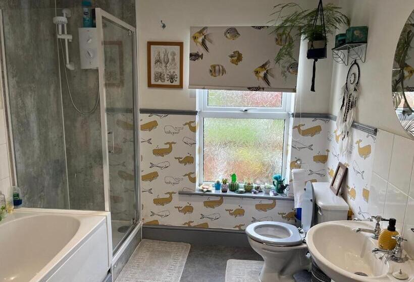 غرفة قياسية حمام مشترك, Large Room Sleeps 3 Own Tv And Cereal And Toast Breakfast In Newhaven