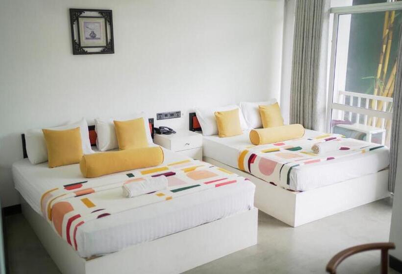 패밀리 룸 산 전망, Avora Mount