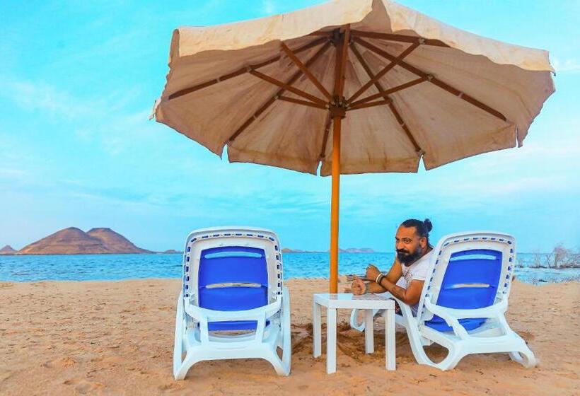 اتاق استاندارد, Habib Camp