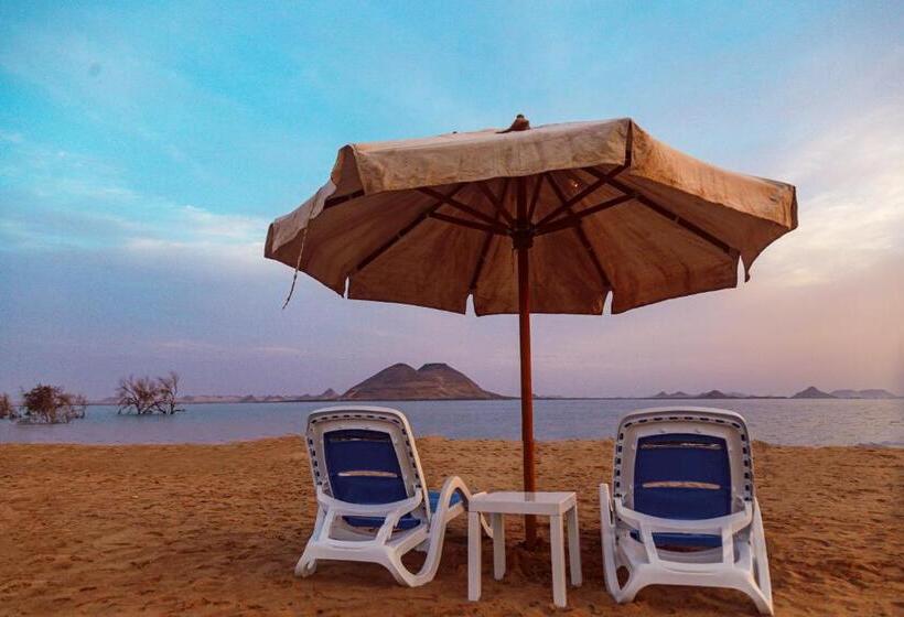 اتاق استاندارد, Habib Camp