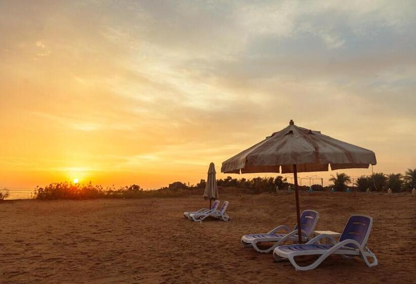 اتاق استاندارد سه نفره, Habib Camp