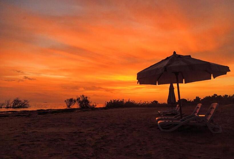 اتاق استاندارد سه نفره, Habib Camp